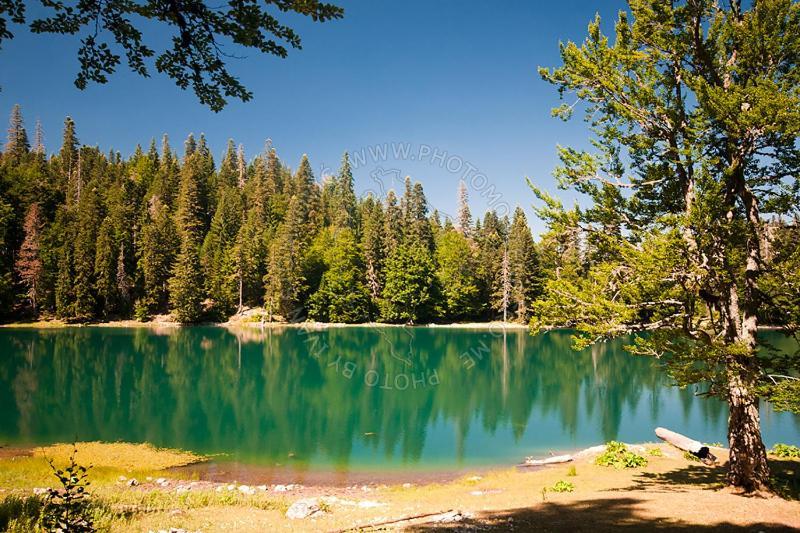Gazela Bungalov 1 Mojkovac Esterno foto