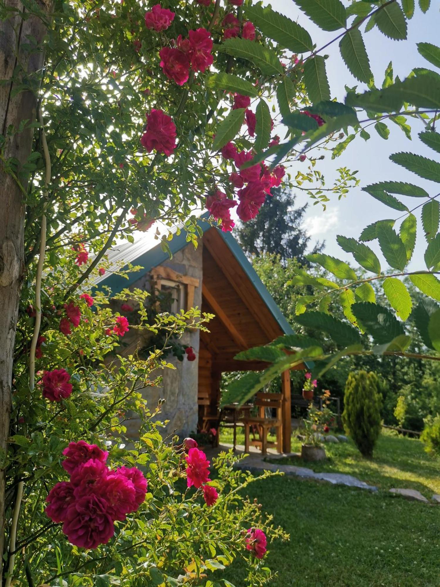 Gazela Bungalov 1 Mojkovac Esterno foto